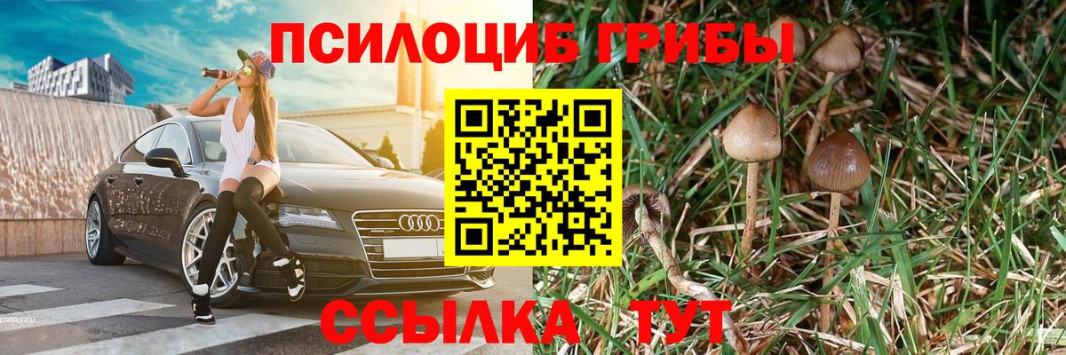 наркошоп  Вход с VPN  Пугачёв  Псилоцибиновые грибы Cubensis  Псилоцибиновые грибы MAGIC MUSHROOMS 