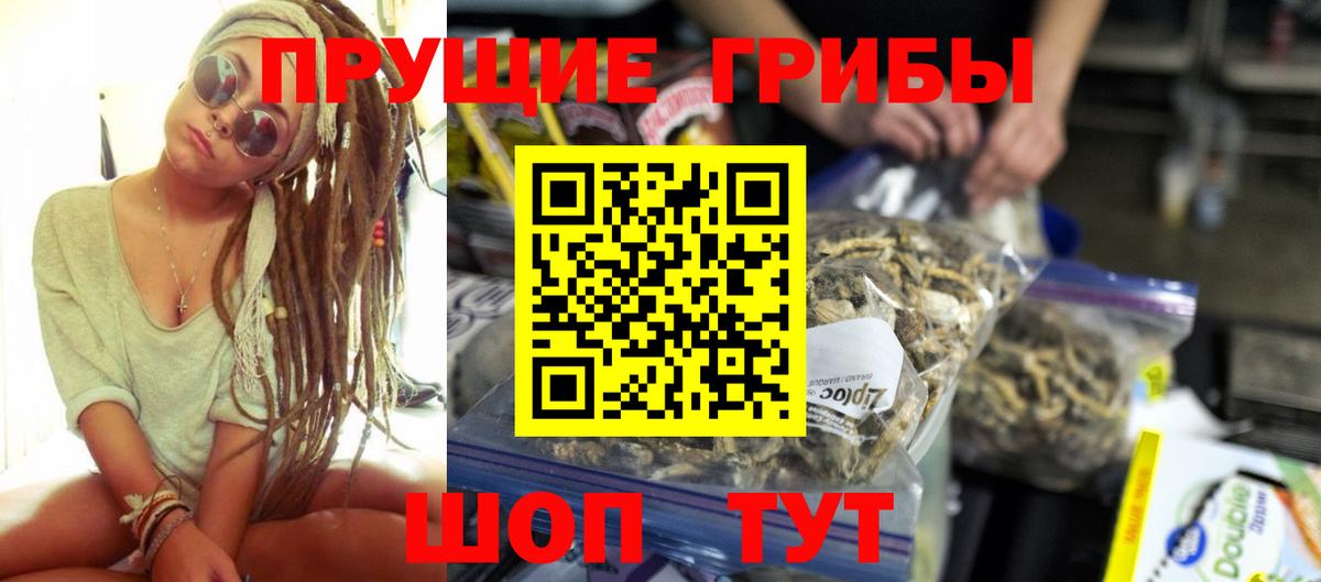 Псилоцибиновые грибы Psilocybe Пугачёв